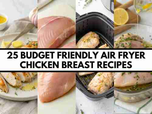25 Budget Friendly Air Fryer Chicken Breast Recipes for Families