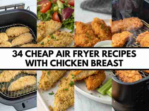34 Cheap Air Fryer Recipes With Chicken Breast